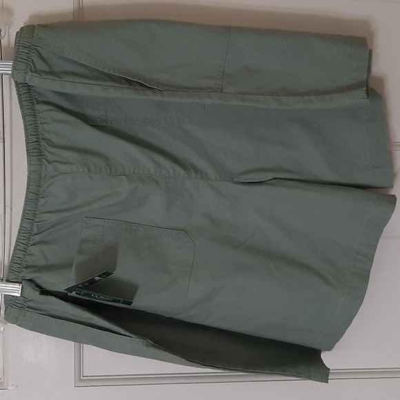 NWT L.L.BEAN FADED SAGE SUNWASHED CANVAS W'S PLUS SHORT PANTS SZ 3W - Picture 4 of 12